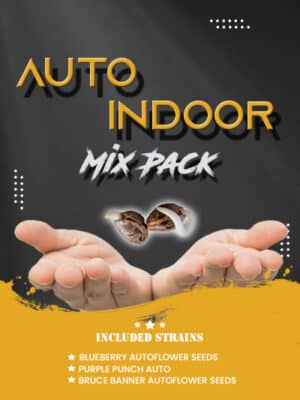 Auto indoor mix pack