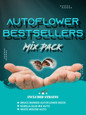 Autoflower bestseller mix pack.